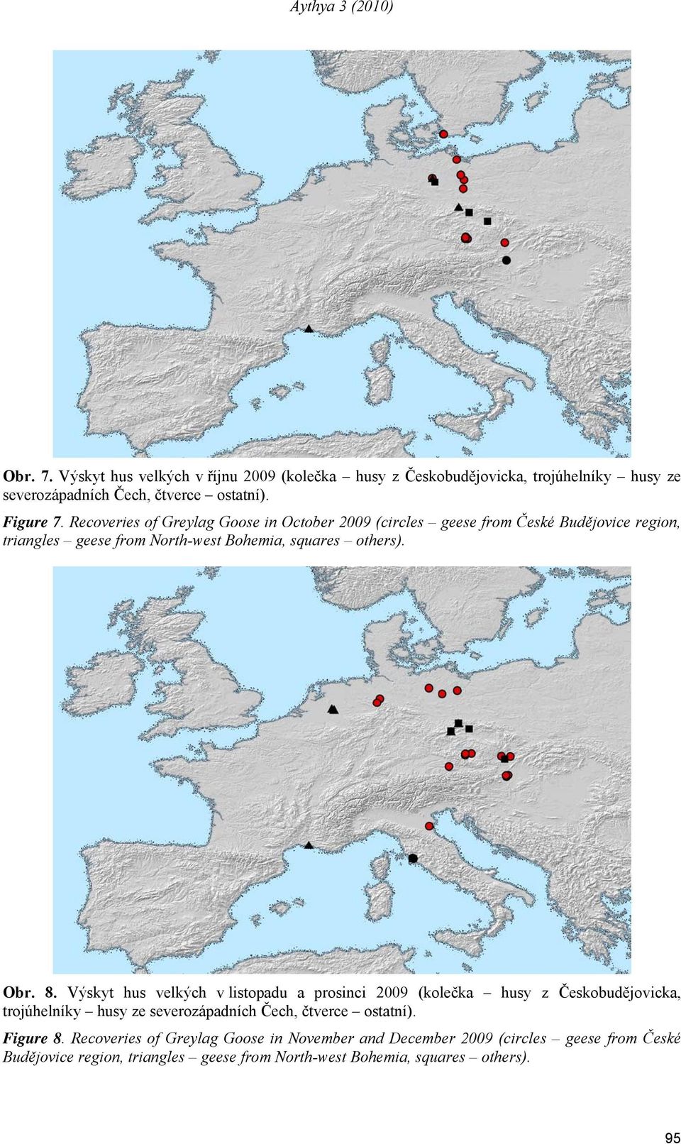 Výskyt hus velkých v listopadu a prosinci 009 (kolečka husy z Českobudějovicka, trojúhelníky husy ze severozápadních Čech, čtverce ostatní). Figure 8.