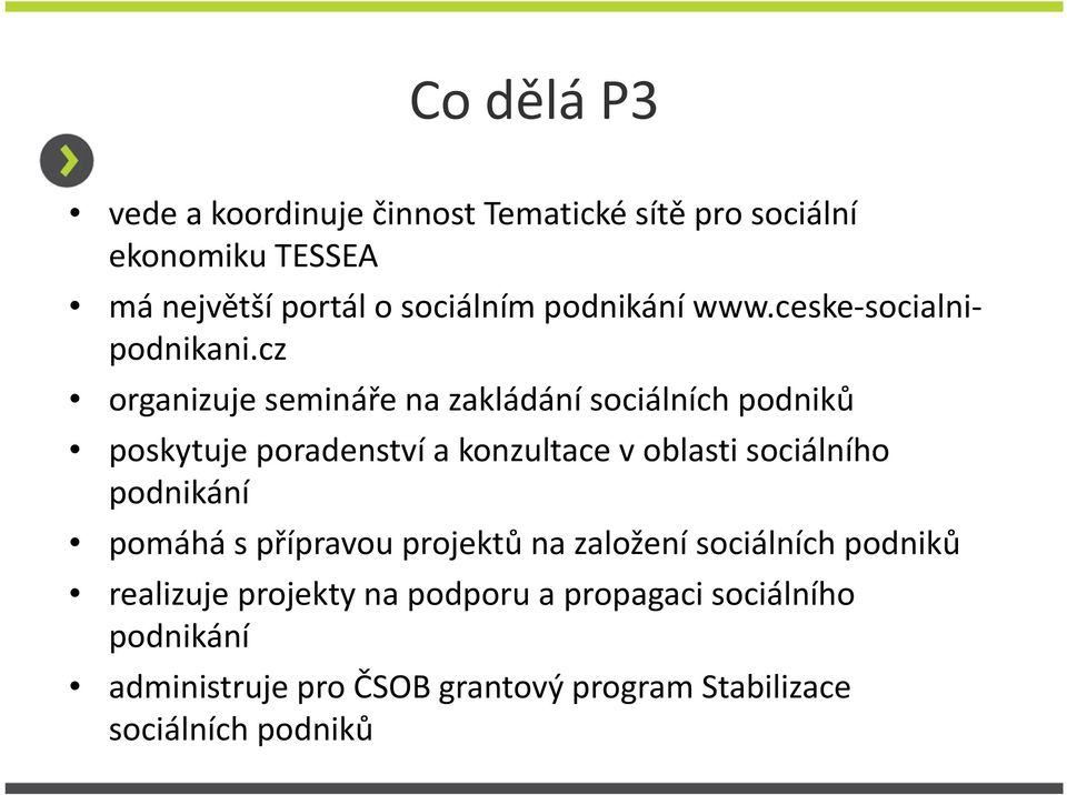 cz organizuje semináře na zakládání sociálních podniků poskytuje poradenství a konzultace v oblasti sociálního