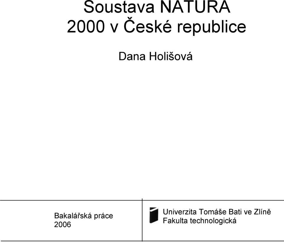 Bakalářská práce 2006