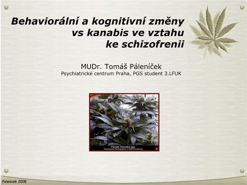 MUDr. Tomáš Páleníček