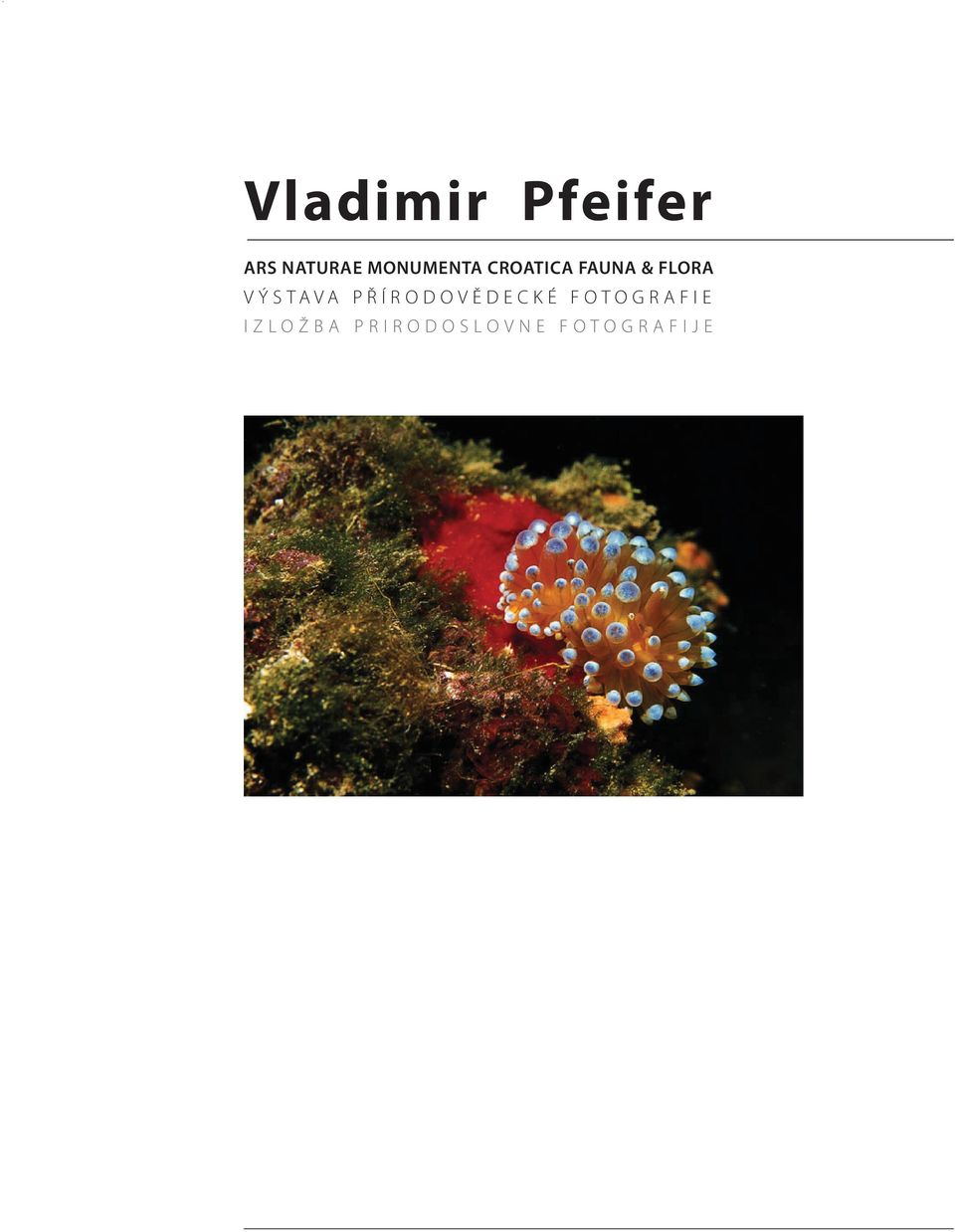 VÝSTAVA PŘÍRODOVĚDECKÉ