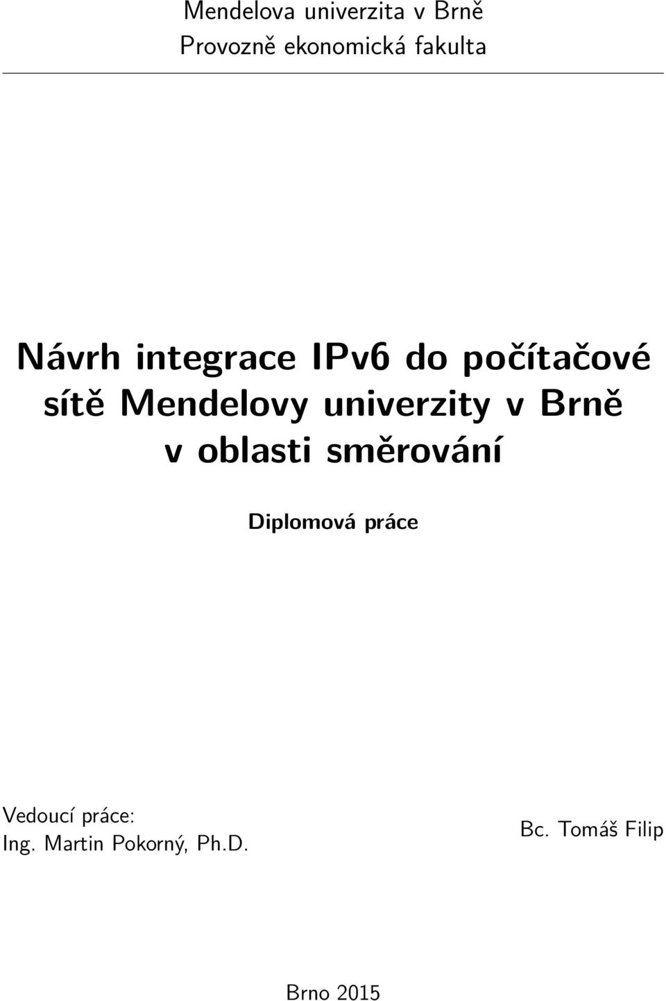 univerzity v Brně v oblasti směrování Diplomová práce