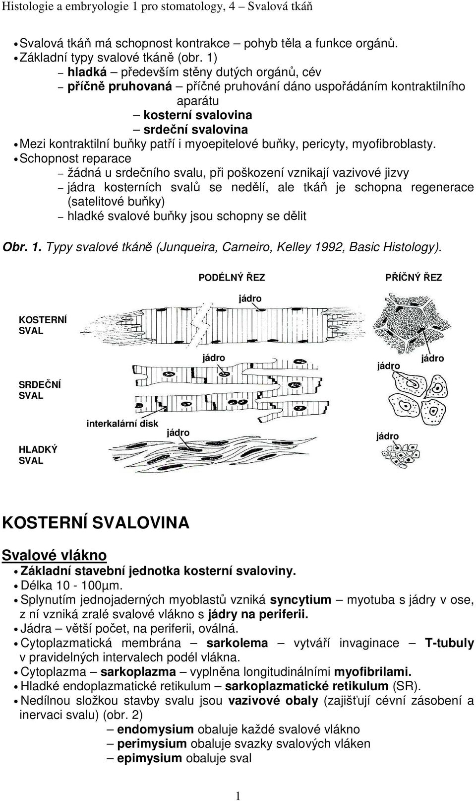 myoepitelové buňky, pericyty, myofibroblasty.