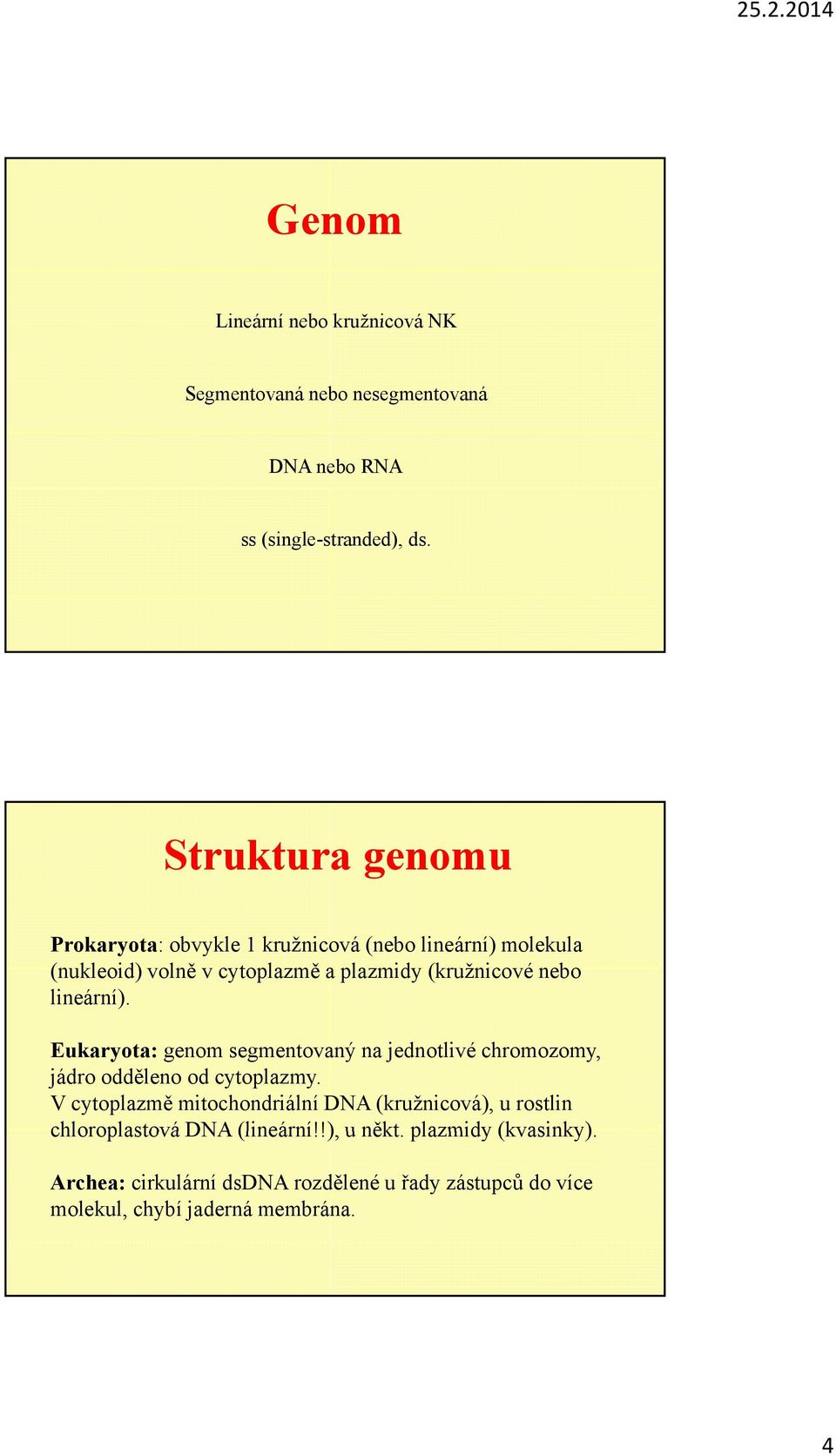 lineární). Eukaryota: genom segmentovaný na jednotlivé chromozomy, jádro odděleno od cytoplazmy.