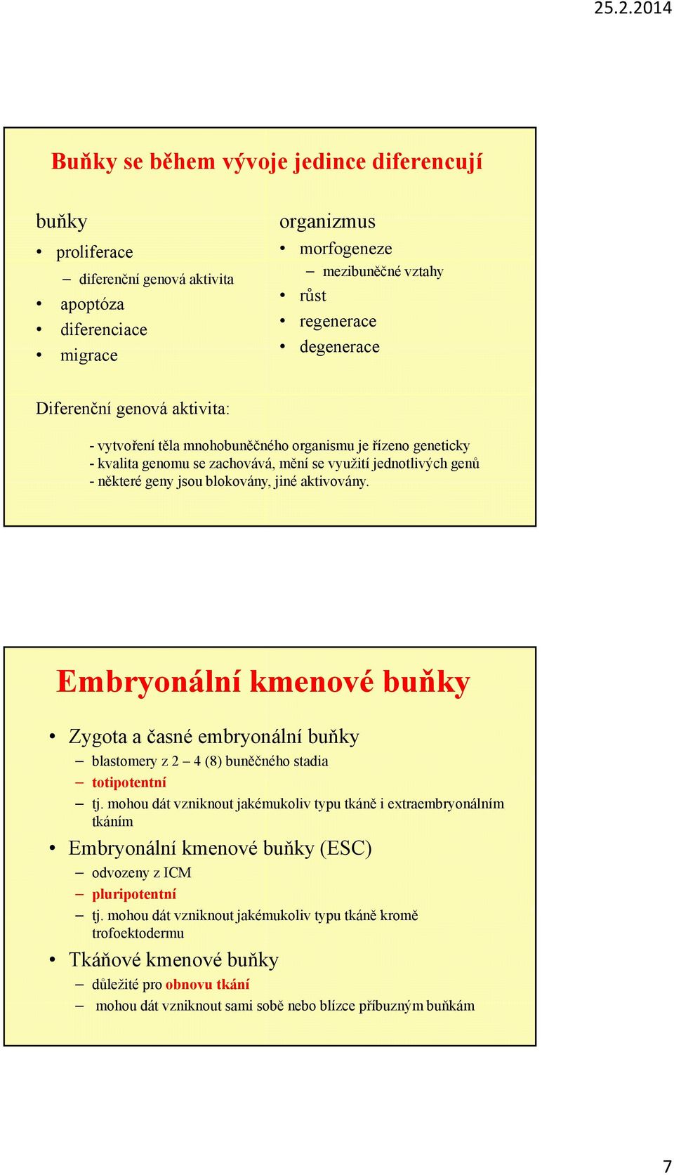 Embryonální kmenové buňky Zygota a časné embryonální buňky blastomery z 2 4 (8) buněčného stadia totipotentníti t t tj.