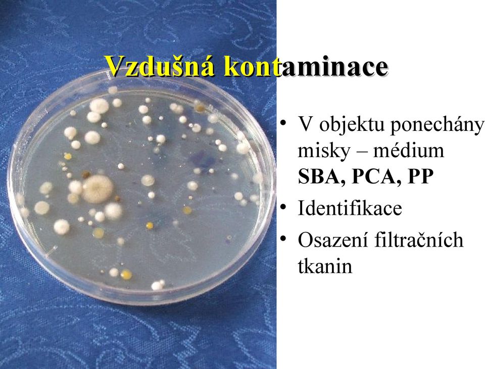 médium SBA, PCA, PP