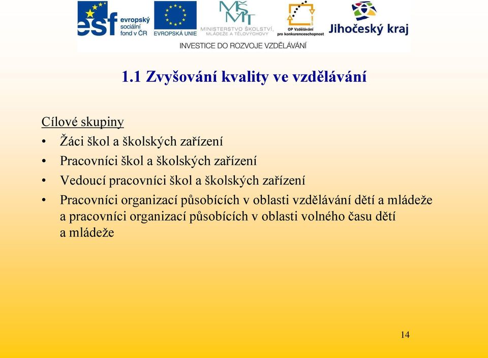 školských zařízení Pracovníci organizací působících v oblasti vzdělávání