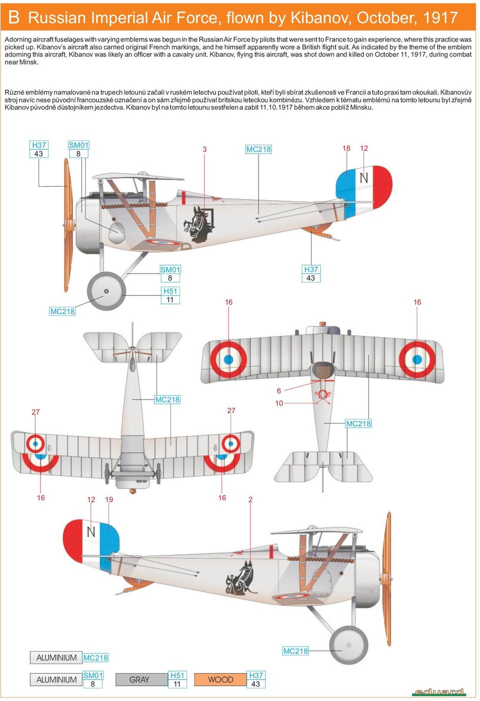 As indicated by the theme of the emblem adorning this aircraft, Kibanov was likely an officer with a cavalry unit.