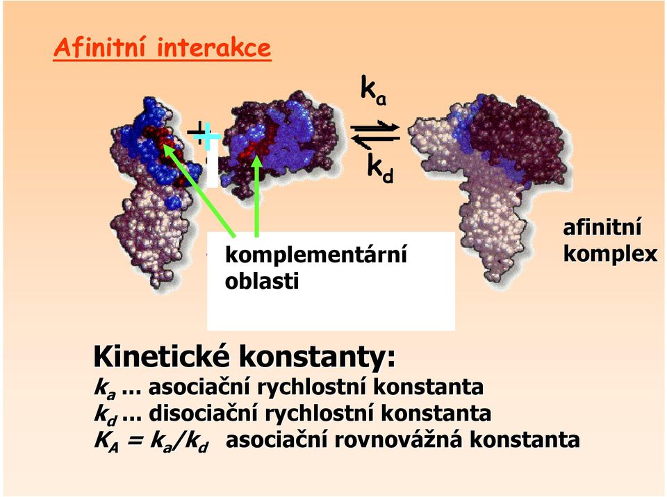 .. asociační rychlostní konstanta k d.