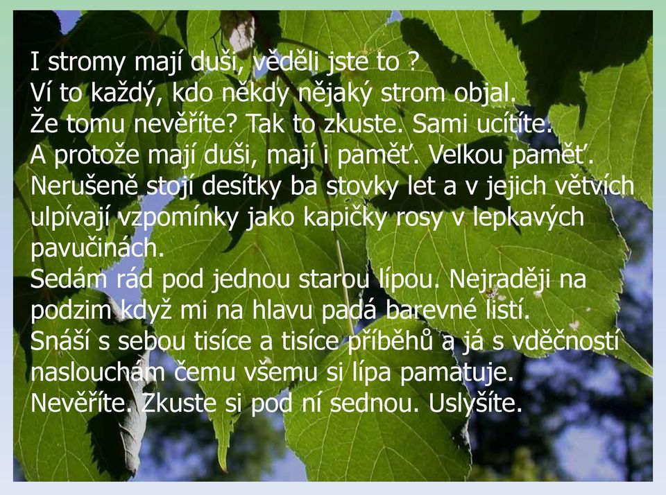 Nerušeně stojí desítky ba stovky let a v jejich větvích ulpívají vzpomínky jako kapičky rosy v lepkavých pavučinách.