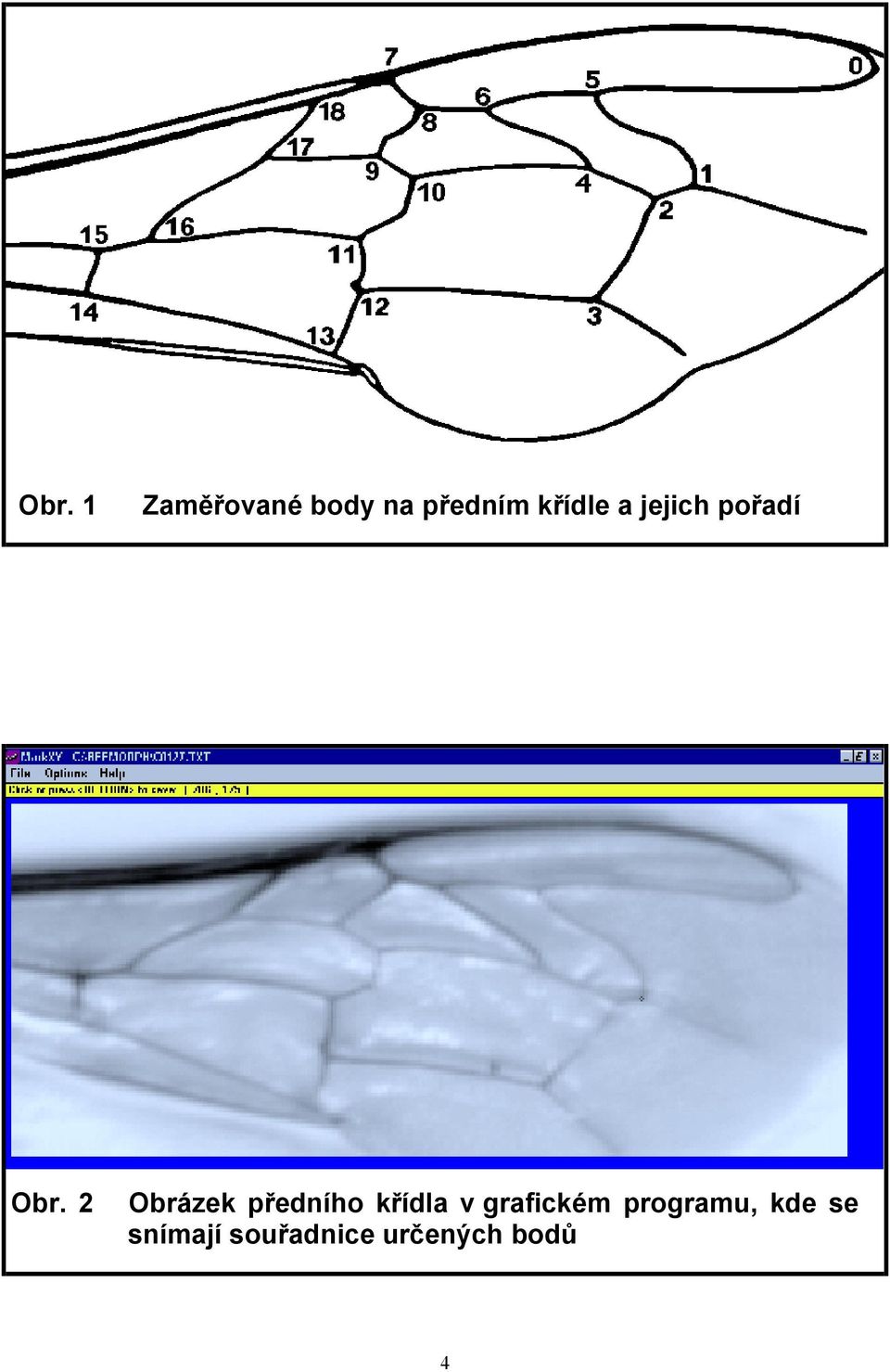 2 Obrázek předního křídla v grafickém