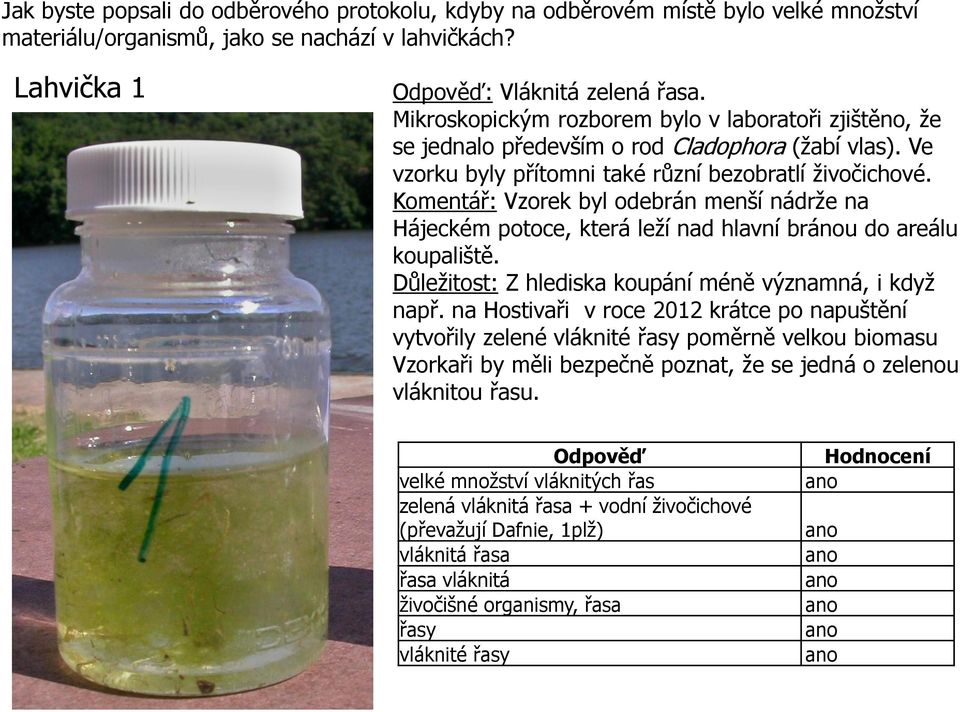 Komentář: Vzorek byl odebrán menší nádrže na Hájeckém potoce, která leží nad hlavní bránou do areálu koupaliště. Důležitost: Z hlediska koupání méně významná, i když např.