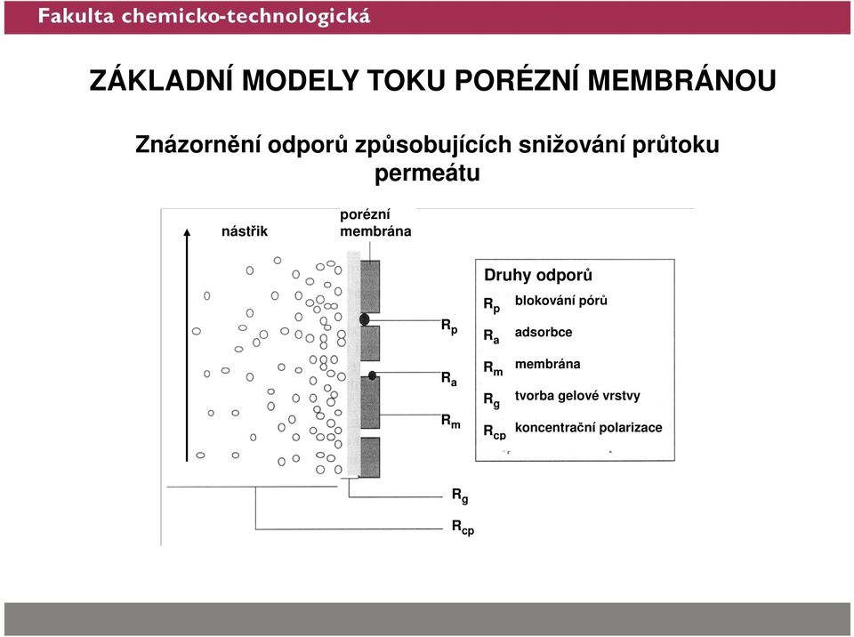 membrána Druhy odporů R p blokování pórů R p R a R m R a R m R