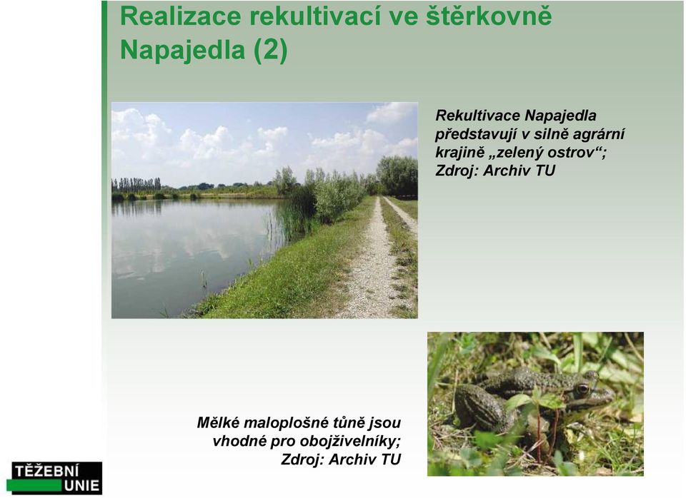 krajině zelený ostrov ; Zdroj: Archiv TU Mělké