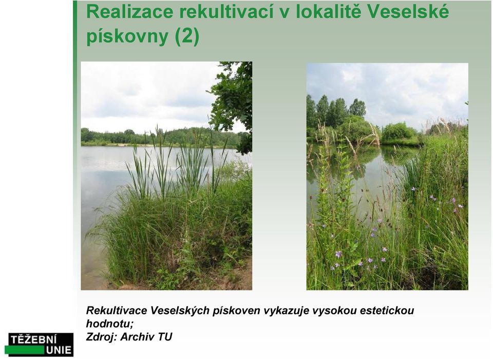 Veselských pískoven vykazuje