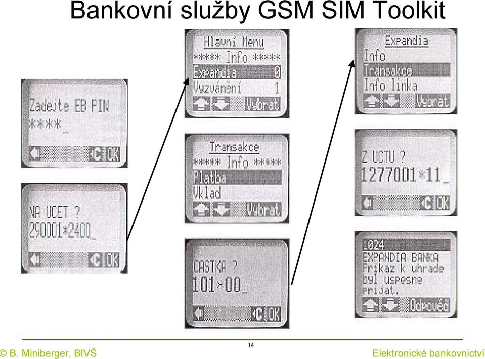 GSM SIM