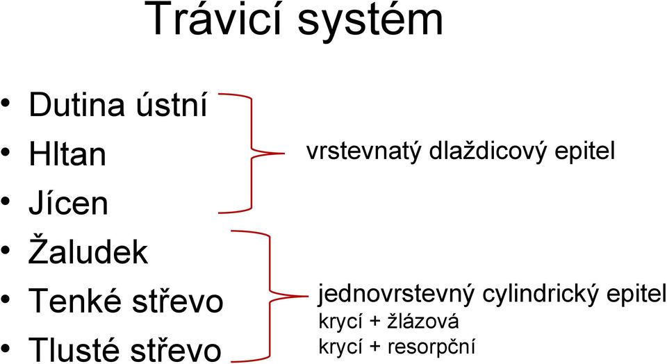 vrstevnatý dlaždicový epitel jednovrstevný