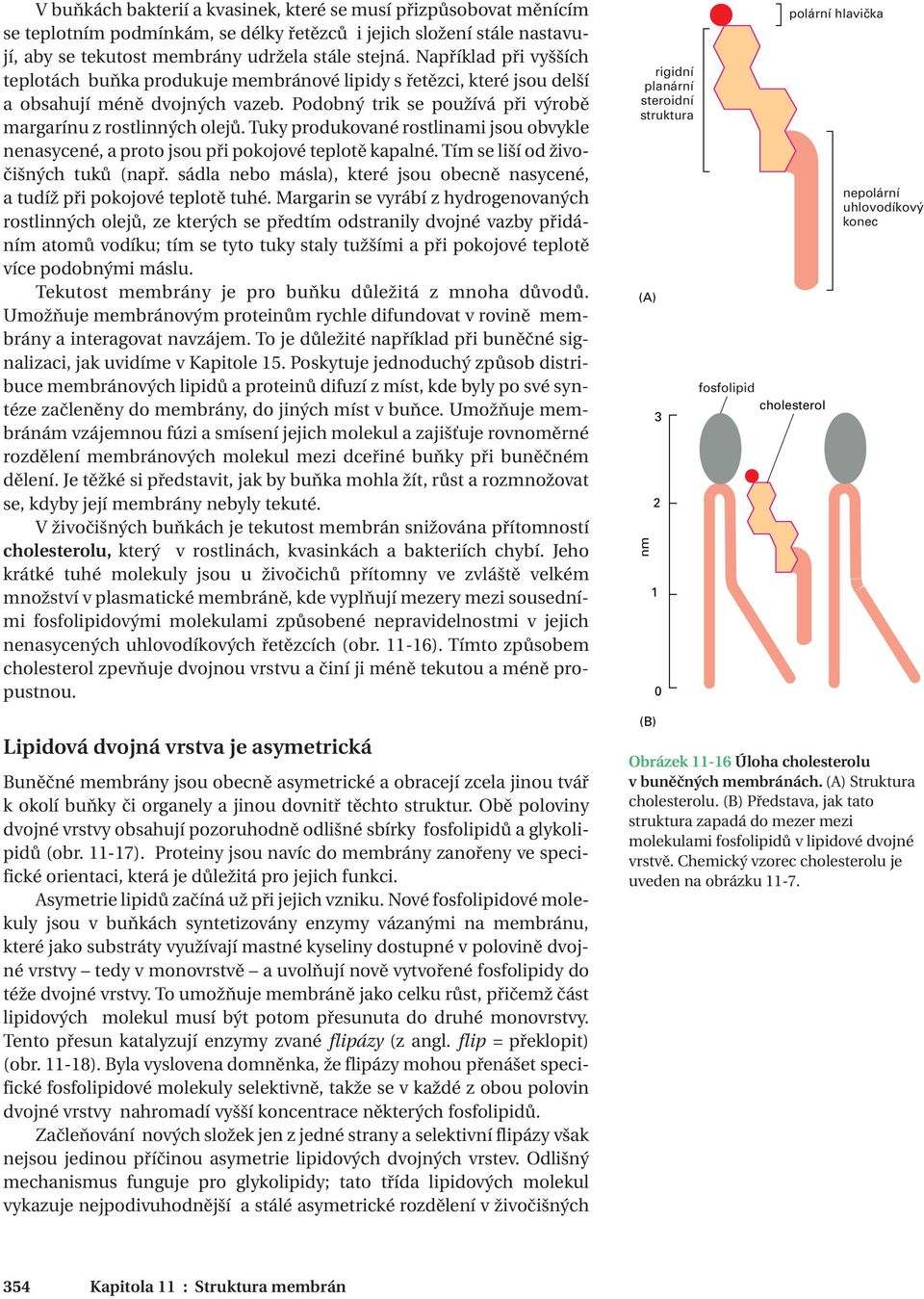 Tuky produkované rostlinami jsou obvykle nenasycené, a proto jsou při pokojové teplotě kapalné. Tím se liší od živočišných tuků (např.