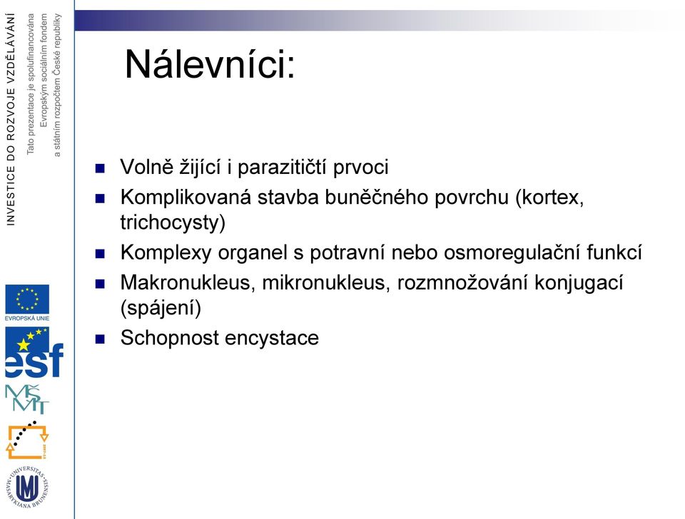 organel s potravní nebo osmoregulační funkcí Makronukleus,