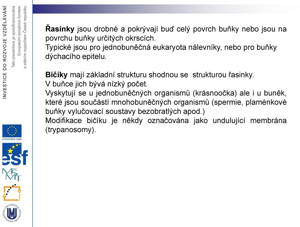 Bičíky mají základní strukturu shodnou se strukturou řasinky. V buňce jich bývá nízký počet.