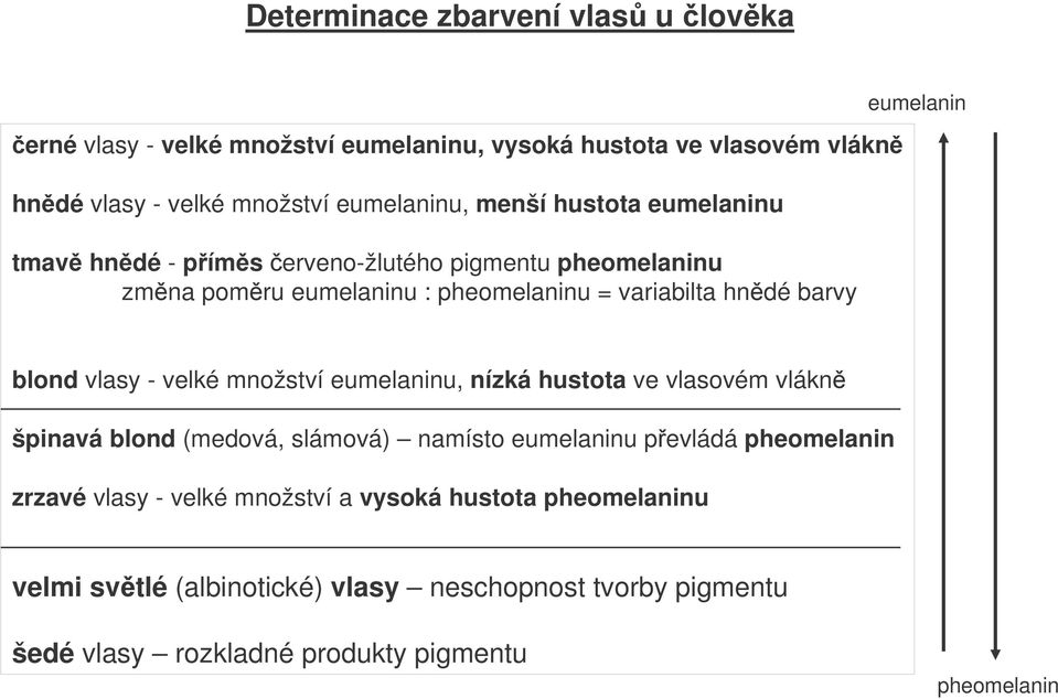vlasy - velké množství eumelaninu, nízká hustota ve vlasovém vlákn špinavá blond (medová, slámová) namísto eumelaninu pevládá pheomelanin zrzavé vlasy -