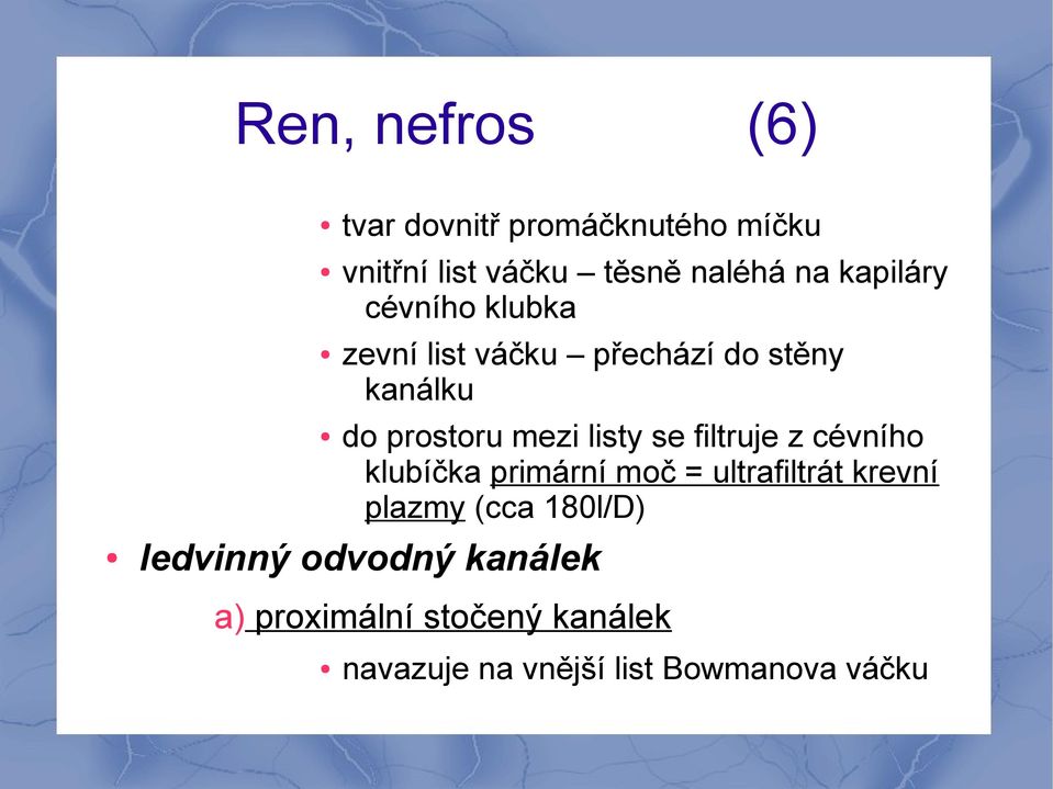 listy se filtruje z cévního klubíčka primární moč = ultrafiltrát krevní plazmy (cca