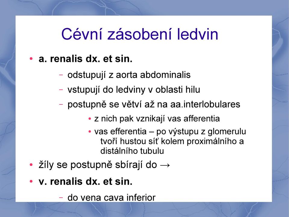 aa.interlobulares z nich pak vznikají vas afferentia vas efferentia po výstupu z