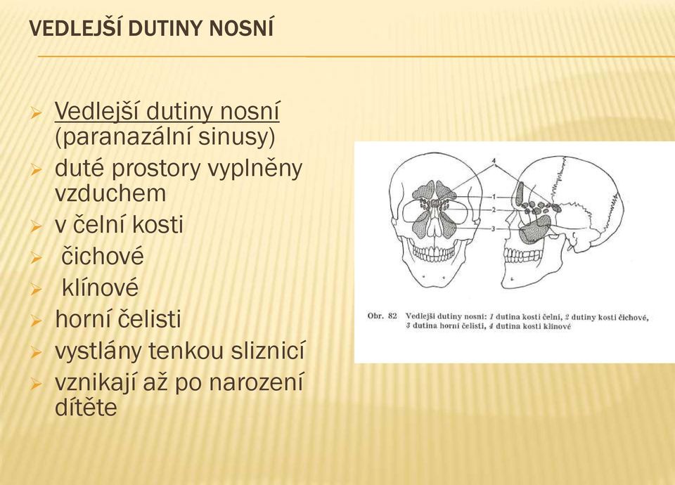 vzduchem v čelní kosti čichové klínové horní