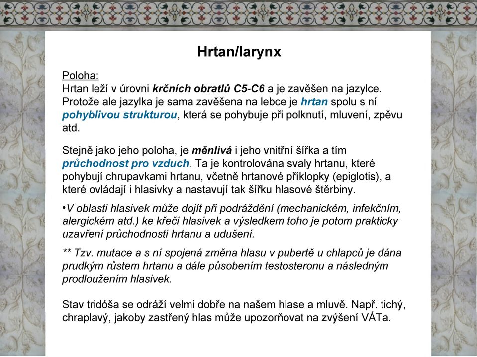 Stejně jako jeho poloha, je měnlivá i jeho vnitřní šířka a tím průchodnost pro vzduch.