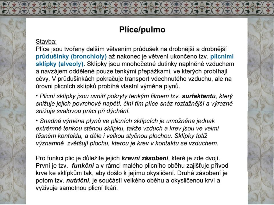 Vprůdušinkách pokračuje transport vdechnutého vzduchu, ale na úrovni plicních sklípků probíhá vlastní výměna plynů. Plicní sklípky jsou uvnitř pokryty tenkým filmem tzv.