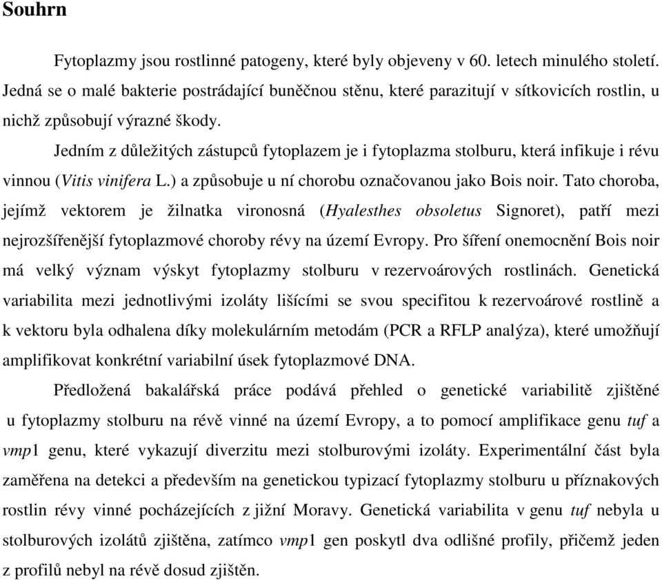 Jedním z důležitých zástupců fytoplazem je i fytoplazma stolburu, která infikuje i révu vinnou (Vitis vinifera L.) a způsobuje u ní chorobu označovanou jako Bois noir.