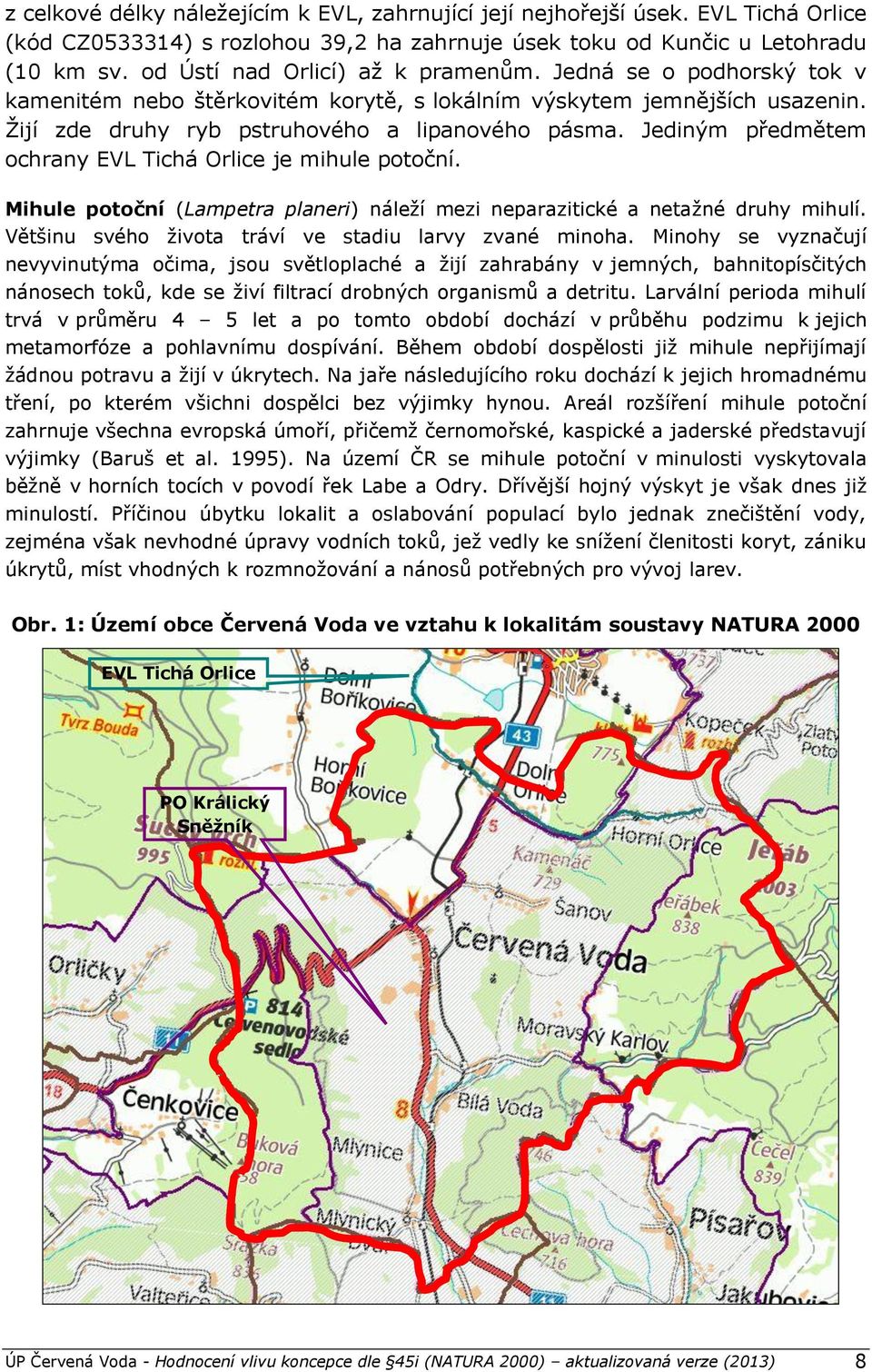 Jediným předmětem ochrany EVL Tichá Orlice je mihule potoční. Mihule potoční (Lampetra planeri) náleží mezi neparazitické a netažné druhy mihulí.