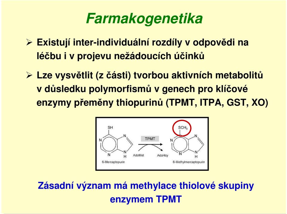 metabolitů v důsledku polymorfismů v genech pro klíčové enzymy přeměny