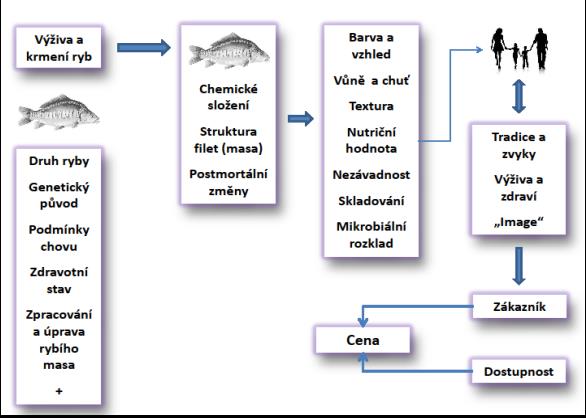 Úvod Dřívější nešetrné zásahy Potřeba modifikace managementu rybníků eutrofizace velké části našich rybníků