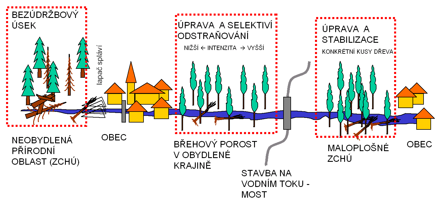 Selektivní management Různé úseky toku vyžadují různě intenzivní údržbu (a jiná opatření vzhledem k dřevní hmotě).