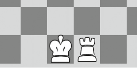 Každý hráč má 16 figurek: 1 krále, 1 dámu, 2 věže, 2 jezdce, 2 střelce a 8 pěšců, kteří jsou na začátku hry rozložení tak, jak je ukázáno na obrázku.