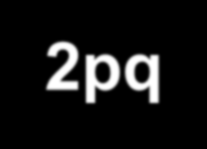 V panmiktické populaci H-W zákon platí pro jakékoliv genové a genotypové frekvence Pomocí vztahu p 2 + 2pq + q 2 = 1 a p + q = 1 lze zjistit: 1) podíl genotypů, známe-li frekvenci alel: AA = p 2 aa =