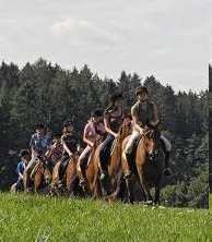 B) Venkovská turistika agroturistika ekoturistika ekoagroturistika chataření a chalupaření lesní turistika hipoturistika geoparky cykloturistika zážitková turistika C) Diverzifikace (z