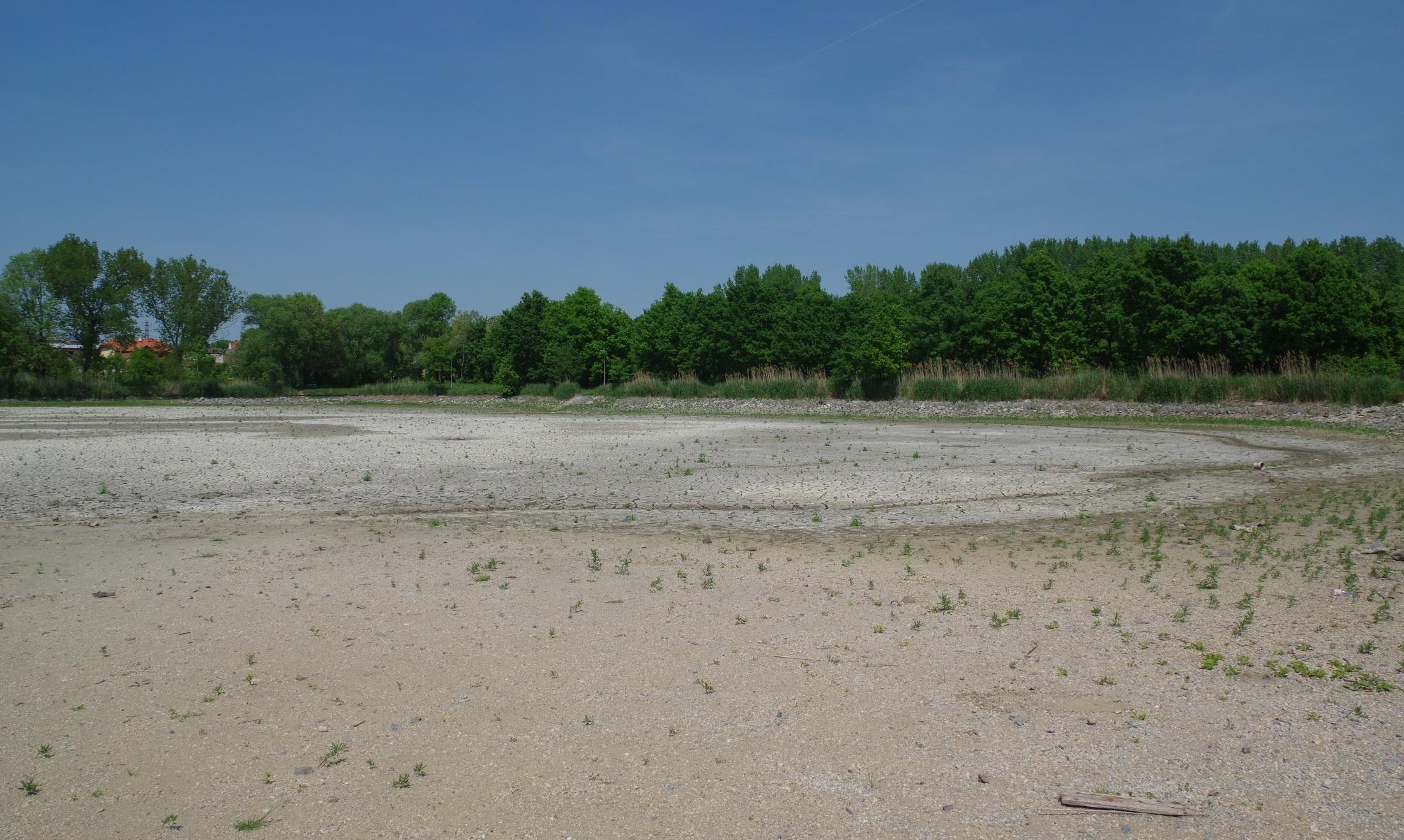 Odbahnění suchou cestou z pohledu ochrany přírody Letnění (zimování) rybníků Nejstarší způsob redukce sedimentu Ozdravení rybničního dna Mineralizace