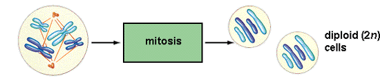 zajišťuje přesné