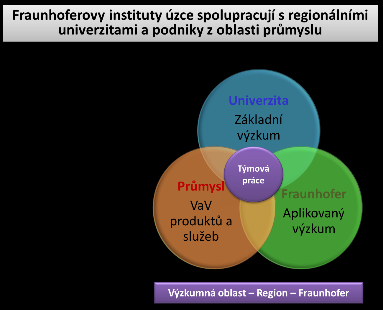 5. Fraunhoferovy instituty úzce spolupracují s regionálními univerzitami a podniky z oblasti průmyslu Etablování sítě Fraunhoferových institutů a jejich zapojení do vědecké/výzkumné infrastruktury