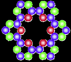 znaky (rrna) příbuznost chloroplastů (chdna) homologie buněčné stěny.