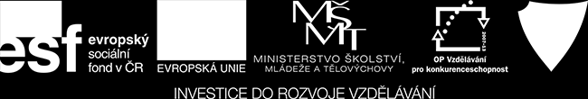 Metodika práce asistenta pedagoga Náležitý dohled