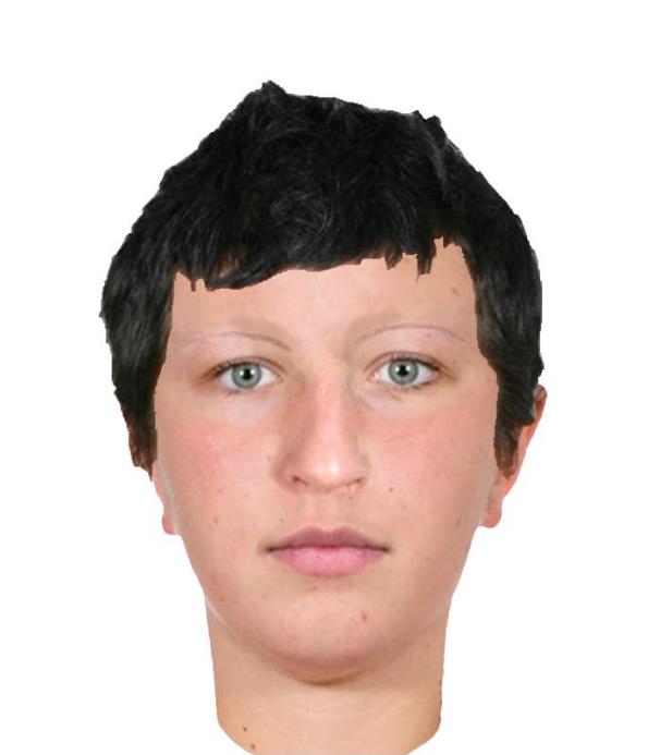 Identikit Je přibližná podoba, pravděpodobný portrét, například osoby