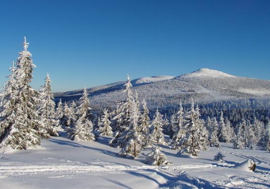 Krkonošský národní park (KRNAP) KRNAP je jedním z nejvýznačnějších