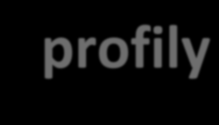 Metadatové profily Profil INSPIRE definován v nařízení 1205/2008 Národní profil