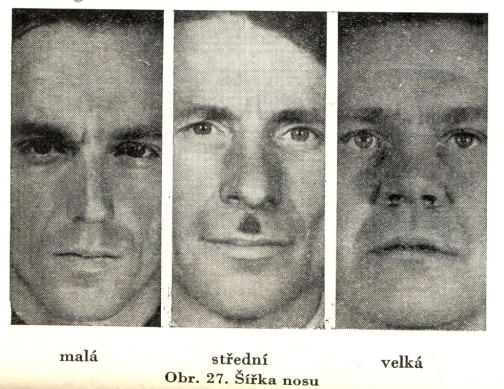 Krajina nosní Výška nosu: 1. malá, 2. střední, 3. velká. Tímto údajem rozumíme výšku celého nosu od bodu *nasion k **subnasale a hodnotíme ji relativně k jeho šířce i k výšce obličeje. Šířka nosu: 1.