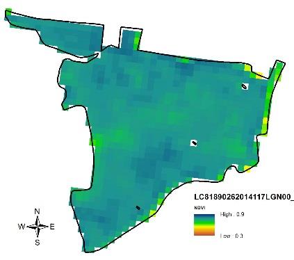 NDVI Družicový monitoring Oblasti využití DPZ dat pro pěstitele: Hodnocení aktuálního stavu porostů řízení aplikace agrochemických látek (hnojiva, přípravky na ochranu rostlin) monitoring poškození