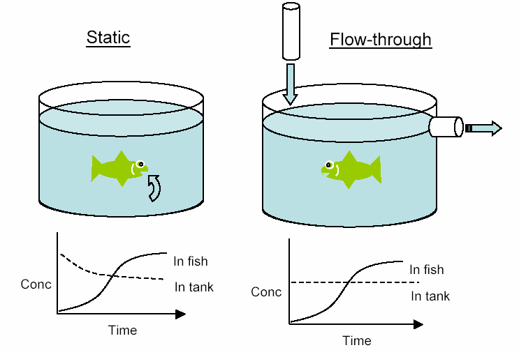 Experimentální