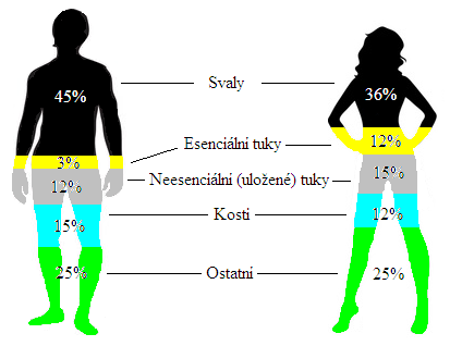 1 Složení a stavba těla 1.
